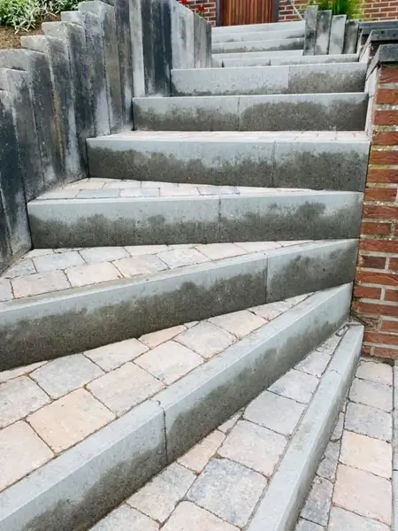Réalisations terrassement Watremez